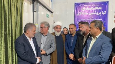 توسعه صنایع فرآوری شیلات در اردبیل / اخبار اردبیل - اخبار استانها