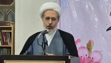 وحدت شیعه و سنی سد محکمی در برابر توطئههای دشمن است / اخبار بوشهر - اخبار استانها
