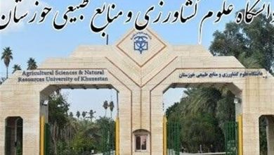کسب نشان نقرهای همیاران سلامت توسط دانشگاه علوم کشاورزی خوزستان / اخبار خوزستان - اخبار استانها