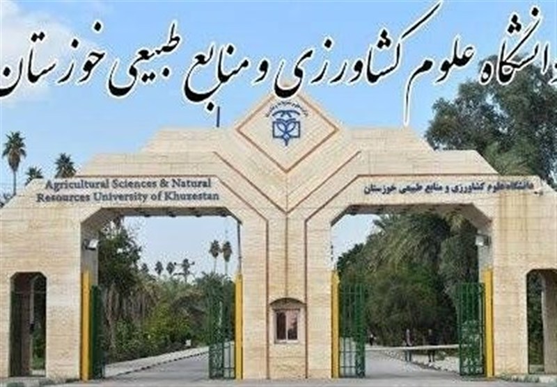 کسب نشان نقرهای همیاران سلامت توسط دانشگاه علوم کشاورزی خوزستان / اخبار خوزستان - اخبار استانها