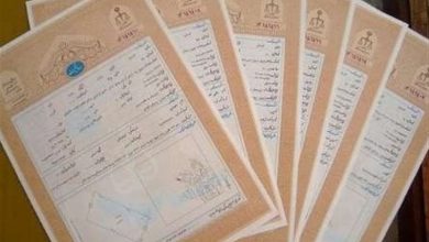 ثبت فارس 99 هزار و 278 سند مالکیت تکبرگ صادر کرد / اخبار فارس - اخبار استانها