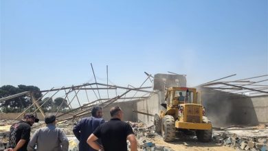 آزادسازی 152 هزار مترمربع از اراضی کشاورزی در جنوب تهران / اخبار استان تهران - اخبار استانها