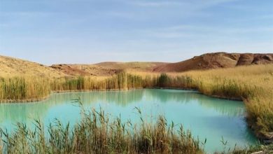 ثبت 4 عرصه تالابی سمنان؛ دستاوردی ماندگار برای محیط زیست / اخبار سمنان - اخبار استانها