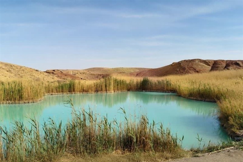 ثبت 4 عرصه تالابی سمنان؛ دستاوردی ماندگار برای محیط زیست / اخبار سمنان - اخبار استانها