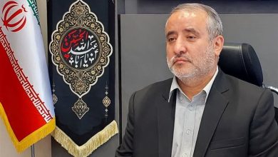 هفته دولت در خراسان جنوبی با افتتاح هزار پروژه برگزار میشود / اخبار خراسان جنوبی - اخبار استانها