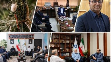 مهمترین اخبار گیلان در هفتهای که گذشت؛ از تسهیلات بانکی تا صادرات / اخبار گیلان - اخبار استانها