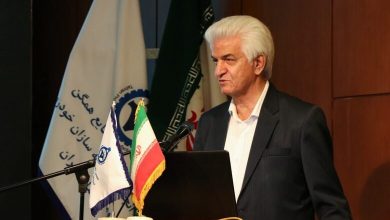 رشد ۶۵ برابری نهادهها در برابر افزایش ۲۵ برابری قیمت خودرو/ قطعهسازان: قیمتگذاری دستوری صنعت خودرو را تحت تاثیر قرار داده / صنعت خودرو , قطعهسازان , قیمتگذاری دستوری , نهادههای تولید , رشد قیمت