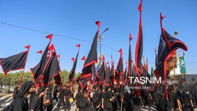 فلسفه حماسه اربعین / اخبار قم - اخبار استانها