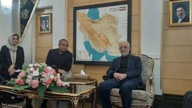 وزیر کشور پاکستان با استقبال مومنی وارد تهران شد / اخبار سیاسی روز , اخبار سیاست خارجی