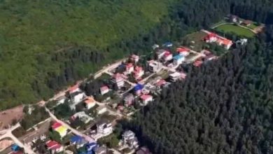 ببینید| واقعیت جنگلخواری در دل جنگل هیرکانی کلاردشت چه بود؟ / اخبار مازندران - اخبار استانها