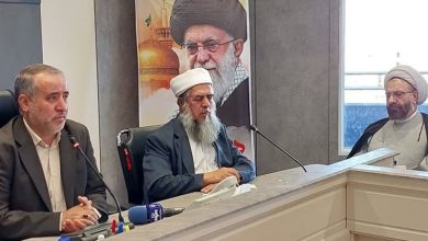 استاندار خراسان جنوبی: وحدت و انسجام، پشتوانه امنیت و اقتدار کشور است / اخبار خراسان جنوبی - اخبار استانها