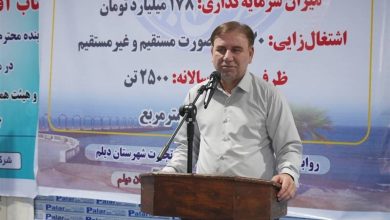 افتتاح واحد تولیدی در دیلم با سرمایهگذاری 178 میلیارد تومان / اخبار بوشهر - اخبار استانها