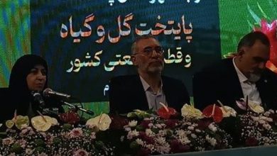 میرجعفریان: بیش از 62 هزار واحد مسکونی آسیبدیده تهران بازسازی شد / اخبار استان تهران - اخبار استانها