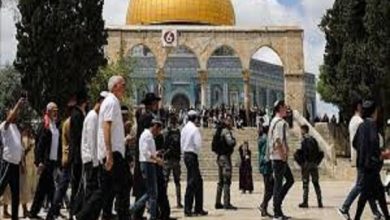 تعرض گسترده شهرکنشینان صهیونیست به مسجد الاقصی