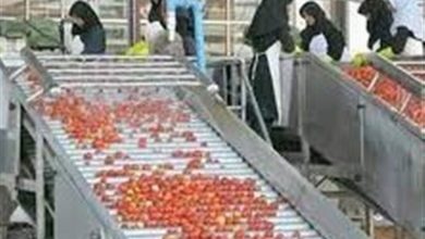 توسعه صنایع تبدیلی هدف مشترک توسعه اقتصادی همدان و کردستان / اخبار همدان - اخبار استانها