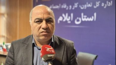 ظرفیت اعزام نیروی کار ماهر به عراق، راهکاری برای کاهش بیکاری / اخبار ایلام - اخبار استانها