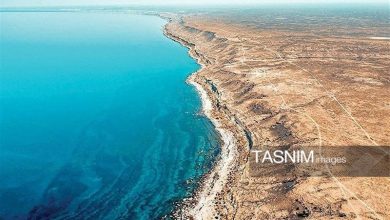 1000 هکتار به زمینهای ساحلی مازندران اضافه شد / اخبار مازندران - اخبار استانها