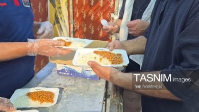 میزبانی 5 موکب چگنی از زائران اربعین / اخبار لرستان - اخبار استانها