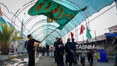 دلدادگان اربعین در شیراز به سوی شاهچراغ(ع) راهپیمایی میکنند / اخبار فارس - اخبار استانها