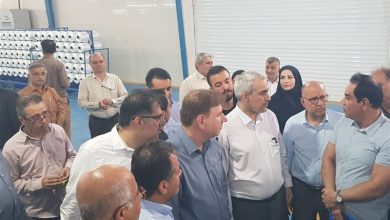 وزیر اقتصاد: بوشهر استان استراتژیک کشور با تنوع تولیدی بالاست / اخبار بوشهر - اخبار استانها