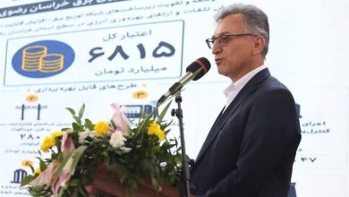 12 پروژه بزرگ شرکت توزیع نیروی برق خراسان رضوی به بهرهبرداری رسید / اخبار خراسان رضوی - اخبار استانها