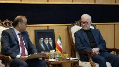 سفیر جدید پاکستان با مومنی دیدار کرد / اخبار سیاسی روز , اخبار دولت