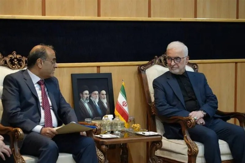 سفیر جدید پاکستان با مومنی دیدار کرد / اخبار سیاسی روز , اخبار دولت