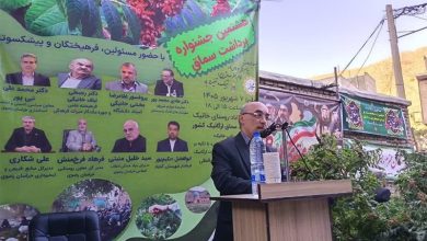 زنجیره ارزش سماق خانیک با توسعه صنایع تبدیلی تکمیل میشود / اخبار خراسان رضوی - اخبار استانها