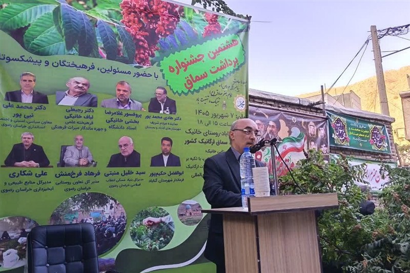زنجیره ارزش سماق خانیک با توسعه صنایع تبدیلی تکمیل میشود / اخبار خراسان رضوی - اخبار استانها
