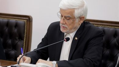 عارف به محسن رضایی: وحدت ملی لازمه ارتقای امنیت پایدار کشور است / اخبار سیاسی روز , اخبار دولت