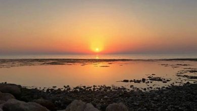 تداوم شرجی بالا و گرمای 50 درجه در استان بوشهر / اخبار بوشهر - اخبار استانها