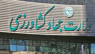 عدم پاسخگویی 83 درصدی وزارت جهاد به مجلس/ معرفی مقامات به مراجع قضایی / اخبار سیاسی روز , اخبار مجلس