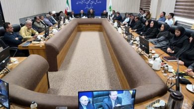 مدیرکل جدید منابع طبیعی و آبخیزداری استان بوشهر معرفی شد / اخبار بوشهر - اخبار استانها