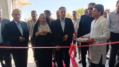 افتتاح کارخانه کارتنسازی جیرفت با ظرفیت تولید روزانه ۷۰۰۰ کارتن / کارخانه کارتنسازی , جیرفت , هفته دولت , بستهبندی محصولات کشاورزی , صنعت
