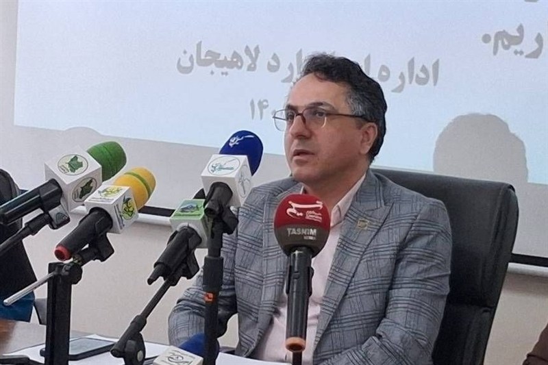برنج از سال آینده مشمول استاندارد اجباری میشود / اخبار گیلان - اخبار استانها
