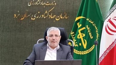 یزد 1.5 درصد محصولات کشاورزی کشور را تولید میکند / اخبار یزد - اخبار استانها