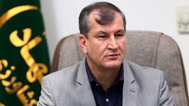 کشت آزمایشی شقایق اُلیفرا برای تأمین مورفین مورد نیاز دارویی کشور / اخبار چهارمحال و بختیاری - اخبار استانها
