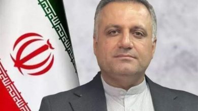 محکومیت 415 میلیاردی متخلفان اقتصادی در بوشهر / اخبار بوشهر - اخبار استانها