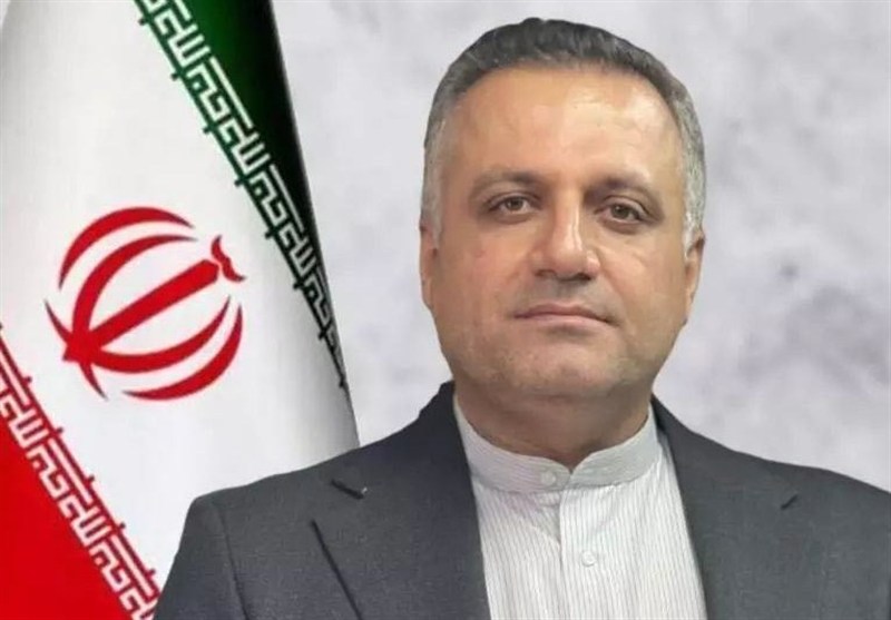 محکومیت 415 میلیاردی متخلفان اقتصادی در بوشهر / اخبار بوشهر - اخبار استانها