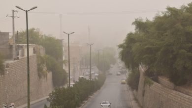 هواشناسی خراسان جنوبی نسبت به وزش باد شدید و گردوخاک هشدار داد / اخبار خراسان جنوبی - اخبار استانها