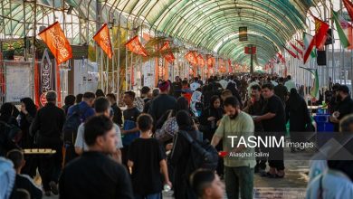 در امتداد جاده عاشقی / اخبار همدان - اخبار استانها