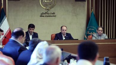 وزیر جهاد کشاورزی: توسعه تولید مرغ باید متناسب با ظرفیت بازار و صادرات باشد / وزیر جهاد کشاورزی , تولید مرغ , مازاد مرغ , صادرات , بازار داخلی