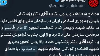 تقدیر زینب سلیمانی از سخنان پزشکیان: خدا قوت آقای رییسجمهور! / اخبار سیاسی روز , اخبار سیاست داخلی