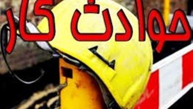 گاز زیتون جان 3 کارگر را در طارم گرفت / اخبار زنجان - اخبار استانها