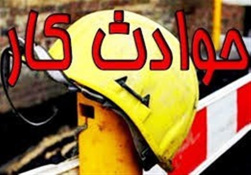 گاز زیتون جان 3 کارگر را در طارم گرفت / اخبار زنجان - اخبار استانها