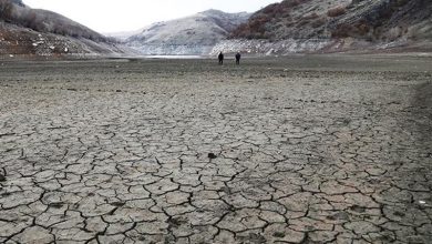 تغییر اقلیم شروعکننده بحران خشکسالی بود؛ تصمیمهای غلط تکمیلکننده / اخبار اصفهان - اخبار استانها