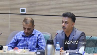 شیخاحمدی برای سومین بار رئیس هیأت ژیمناستیک کردستان شد / اخبار کردستان - اخبار استانها