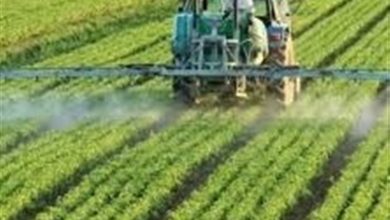 تحقق 107 درصدی تعهد نام نویسی نمونههای کشاورزی مازندران / اخبار مازندران - اخبار استانها