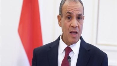 وزیر خارجه مصر: کوچ اجباری فلسطینیان خط قرمز ماست