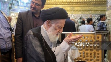 آیتالله العظمی شبیری پدر علم رجال و تراجم دوران معاصر بود / اخبار قم - اخبار استانها